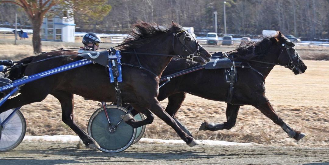 Bilde/illustrasjon om Ørland Travklubb