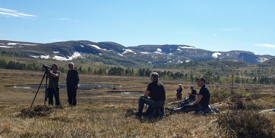 Bilde/illustrasjon om Birdlife Norge, Fosen lokallag